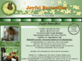 joyfulbutterflies.com