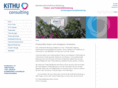 kithu-consulting.com