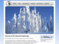 skiverein-wolpertinger.de