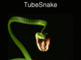 tubesnake.com