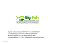 bigfish-international.com