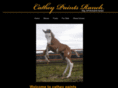 catheypaints.com