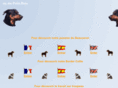 lebeaucerondupetitbois.com