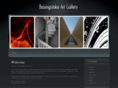 basingstokegallery.com