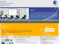 basix-consulting.com