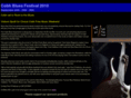 cobhbluesfestival.com