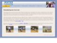 fuccilefoundation.org