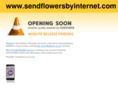 sendflowersbyinternet.com