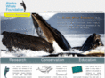 alaskawhalefoundation.org