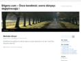 bilgenc.com