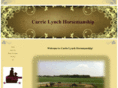 carrielynchhorsemanship.com