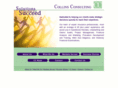 collinsconsult.com