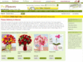 denverproflowers.com