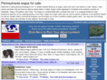 pennsylvaniaangus.com