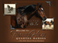 timberhaze.com