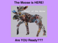 trailofthemoose.com