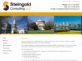 steingoldconsulting.com