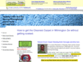 wilmington-de-carpet-rug-cleaning.com