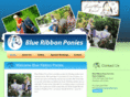 blueribbonponies.com