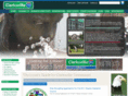 clarksvilletnhotels.com