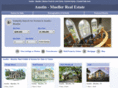 muelleraustin-realestate.com