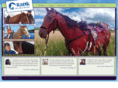 rankequineproducts.com