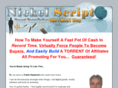 nickelscript.com