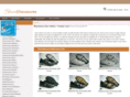 shoxchaussures.info