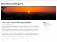 bertseitherconsulting.com