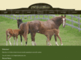 chsporthorses.com