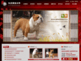 jiuri-bulldog.com