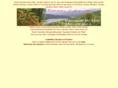 stream-cabin.com