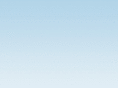 surrealnyc.com