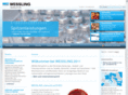 wessling-gruppe.com
