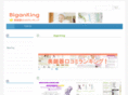 biganking.com