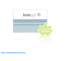 blueleafsystems.com