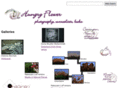 hungryflower.com