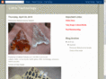 lithictechnology.com