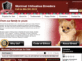 montrealchihuahuabreeders.com