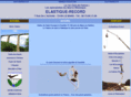 elastique-record.com