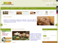 shrutiayurveda.com