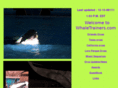 whaletrainers.com