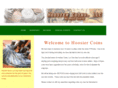 hoosiercoinsllc.com