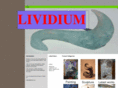lividium.com