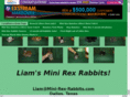 mini-rex-rabbits.com