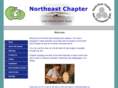 iwgnortheast.com