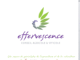 reseau-effervescence.com