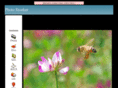 58ch.net