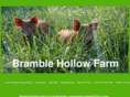 bramblehollowfarm.com