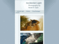 incidentallight.com